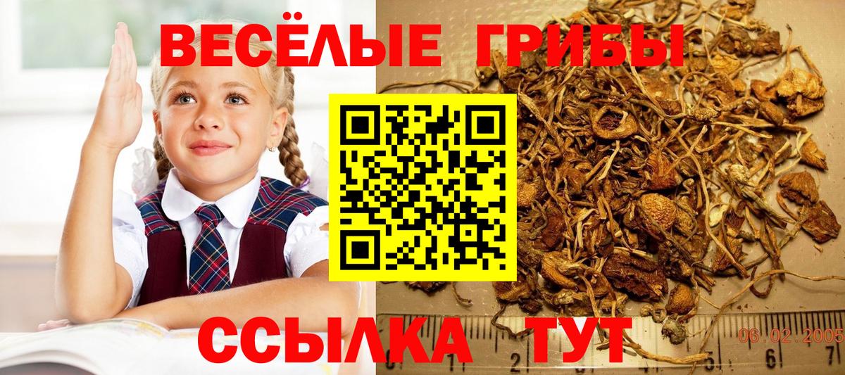 Галлюциногенные грибы Magic Shrooms Ростов Великий