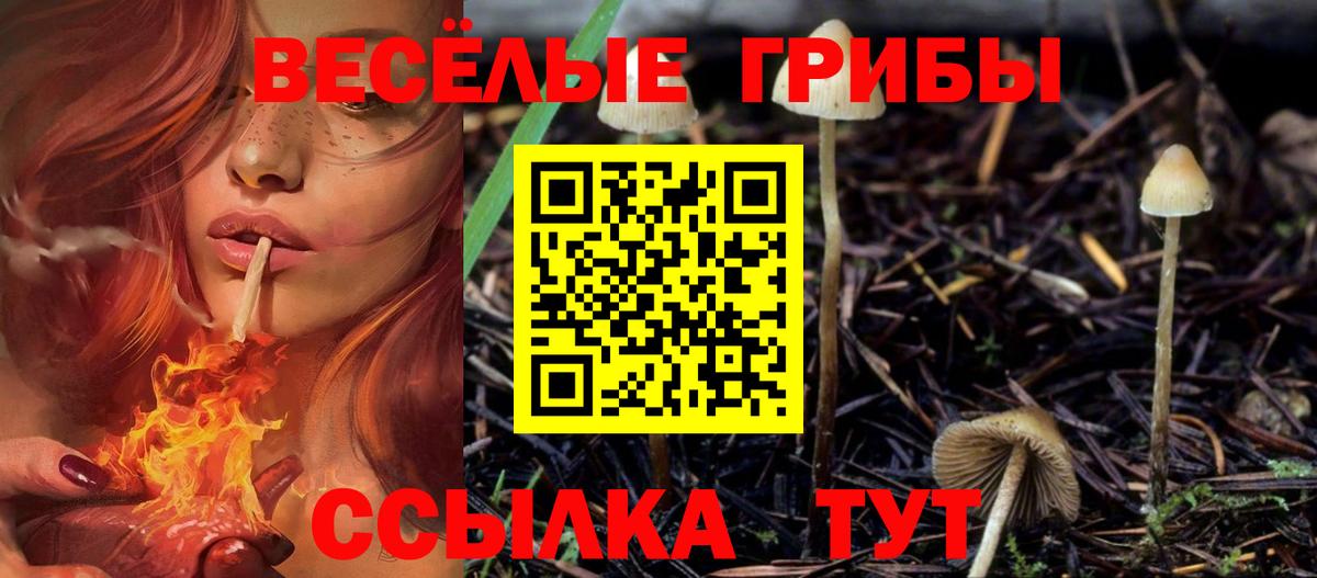 Ростов Великий  Псилоцибиновые грибы Psilocybine cubensis  Вход с VPN  Галлюциногенные грибы Cubensis 